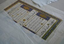 Amanos Dağları Endemik Türler Kuş Göçleri ve Yaban Hayatı