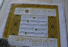 Anadolu Diyagonali’nin Güney Ucu Amanos Ormanları