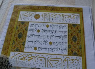 Anadolu Diyagonali’nin Güney Ucu Amanos Ormanları