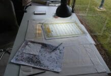 Amanoslar Göçmen Kuşların Stratejik Geçidi