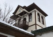 Paleastraya Ulaşım ve Tanımı